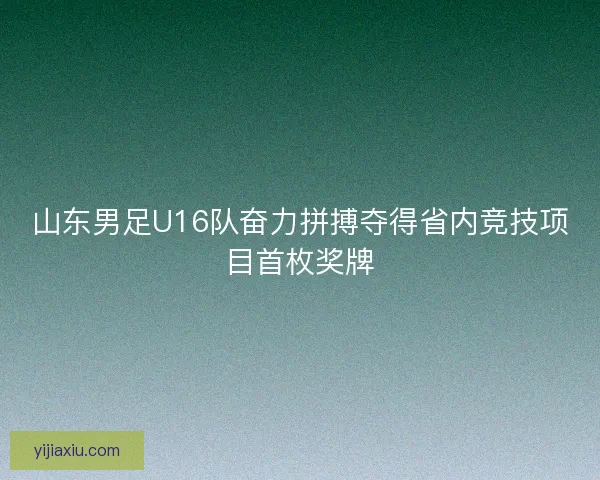 山东男足U16队奋力拼搏夺得省内竞技项目首枚奖牌